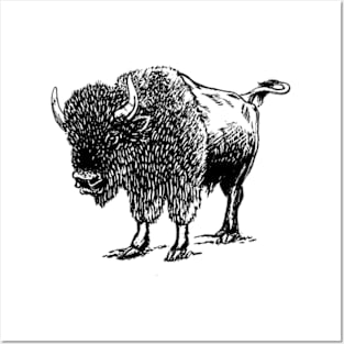 Bison sketch gift ideas Posters and Art